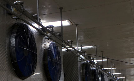 Máy tạo ẩm Condair đem lại cho nhà máy chế biến cá 1 triệu bảng mỗi năm